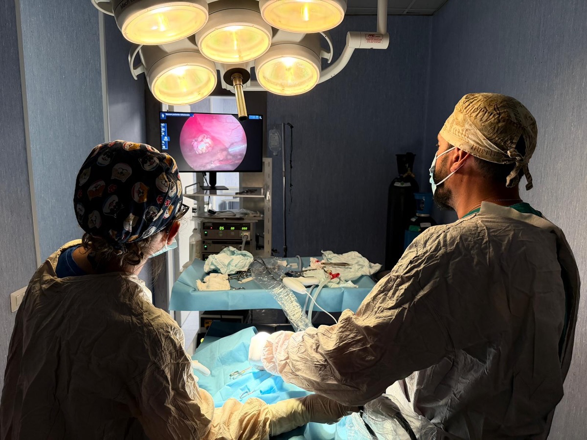 The operating theatre of the Villa Di Somma Veterinary Clinic during a laparoscopic procedure