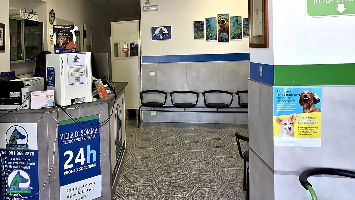 Segreteria e pronto soccorso h24 della Clinica Veterinaria Villa Di Somma a Pozzuoli