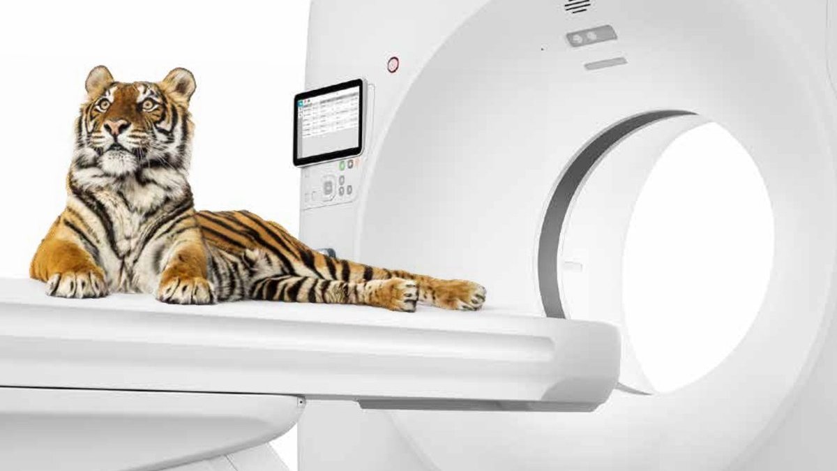 Tomografo GE HealthCare Revolution Maxima per TAC veterinaria alla Clinica Veterinaria Villa Di Somma a Pozzuoli